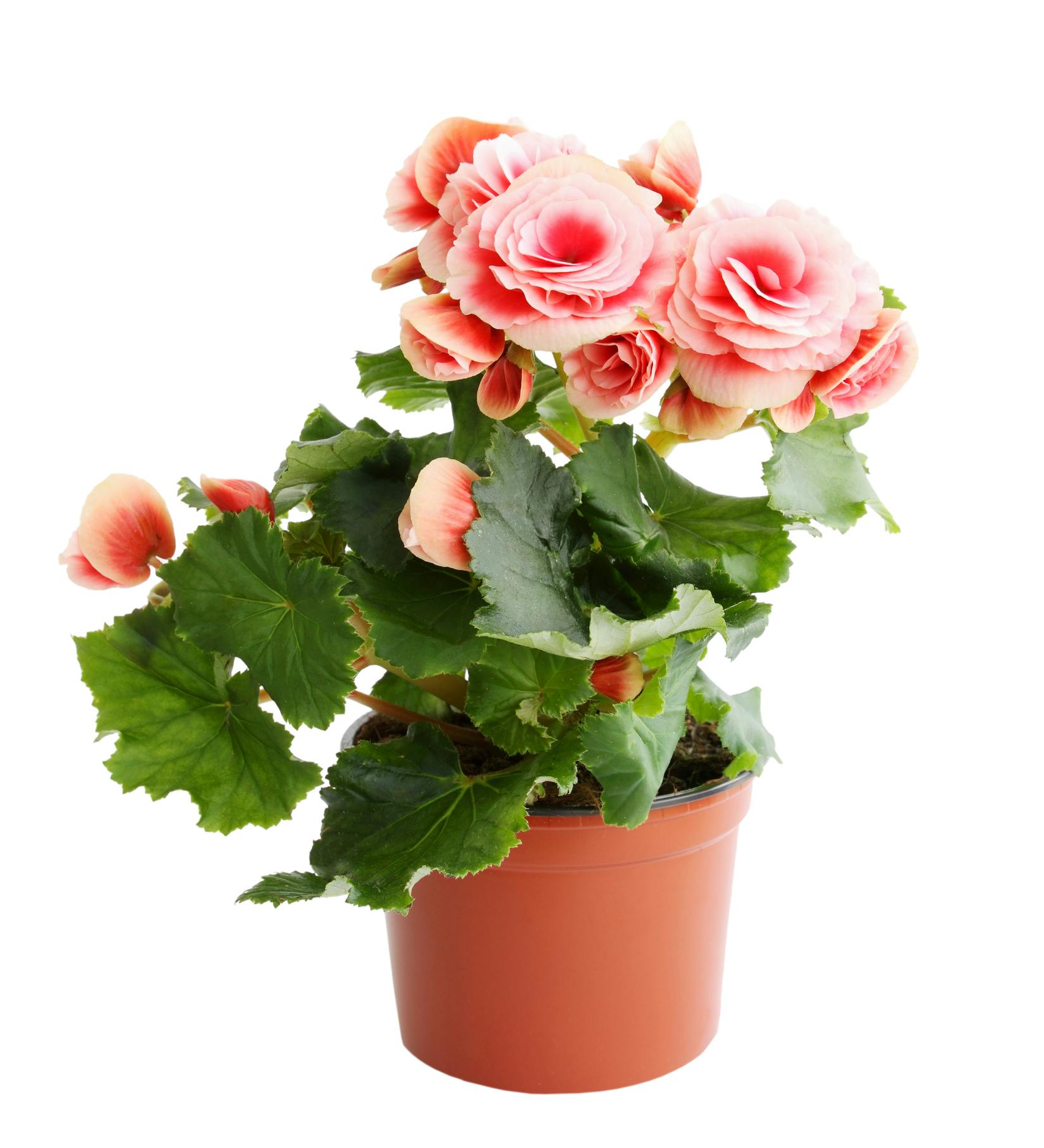 gettyimages 178029332